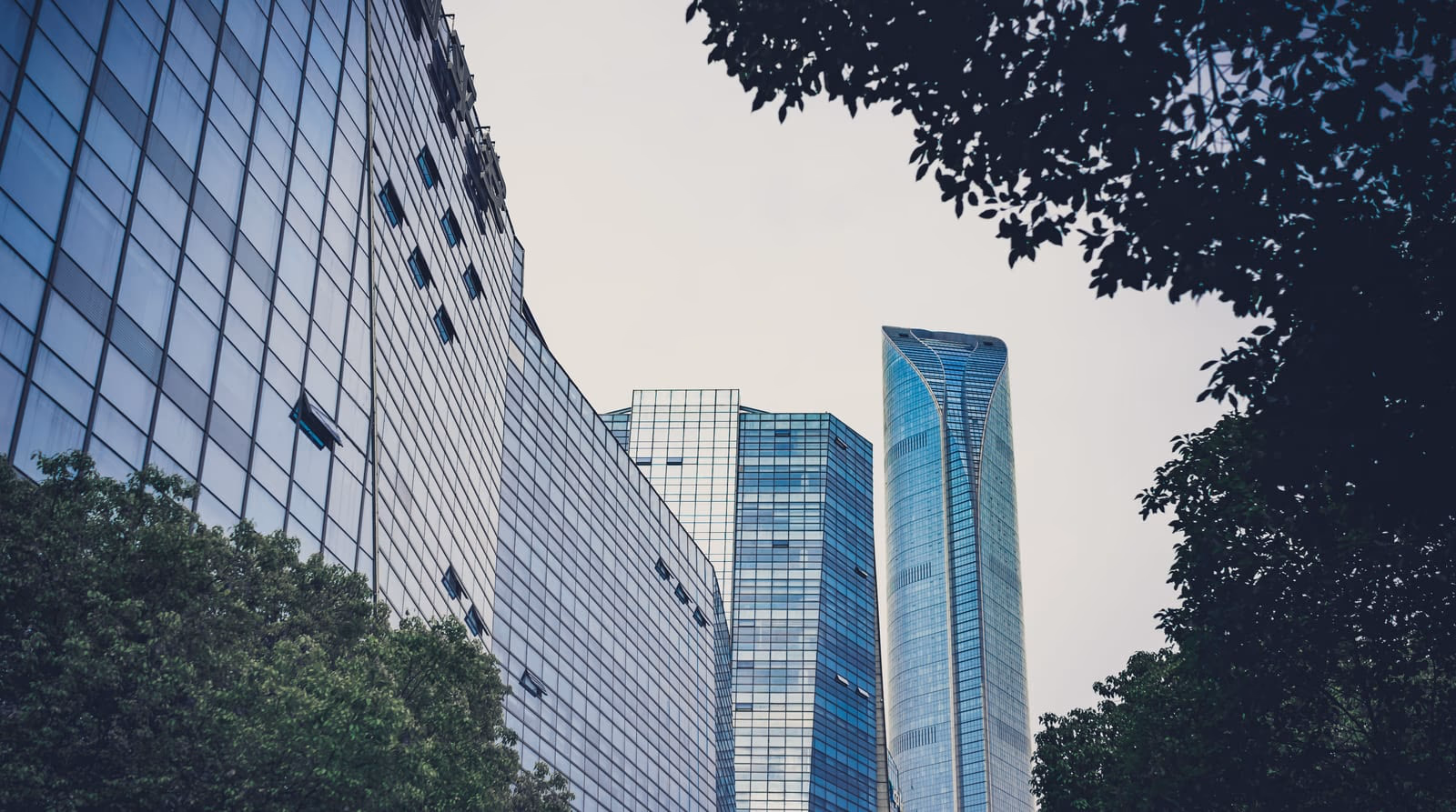 Estrategia de sustentabilidad en una empresa